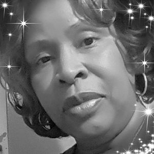 Meet your Posher, Kitty